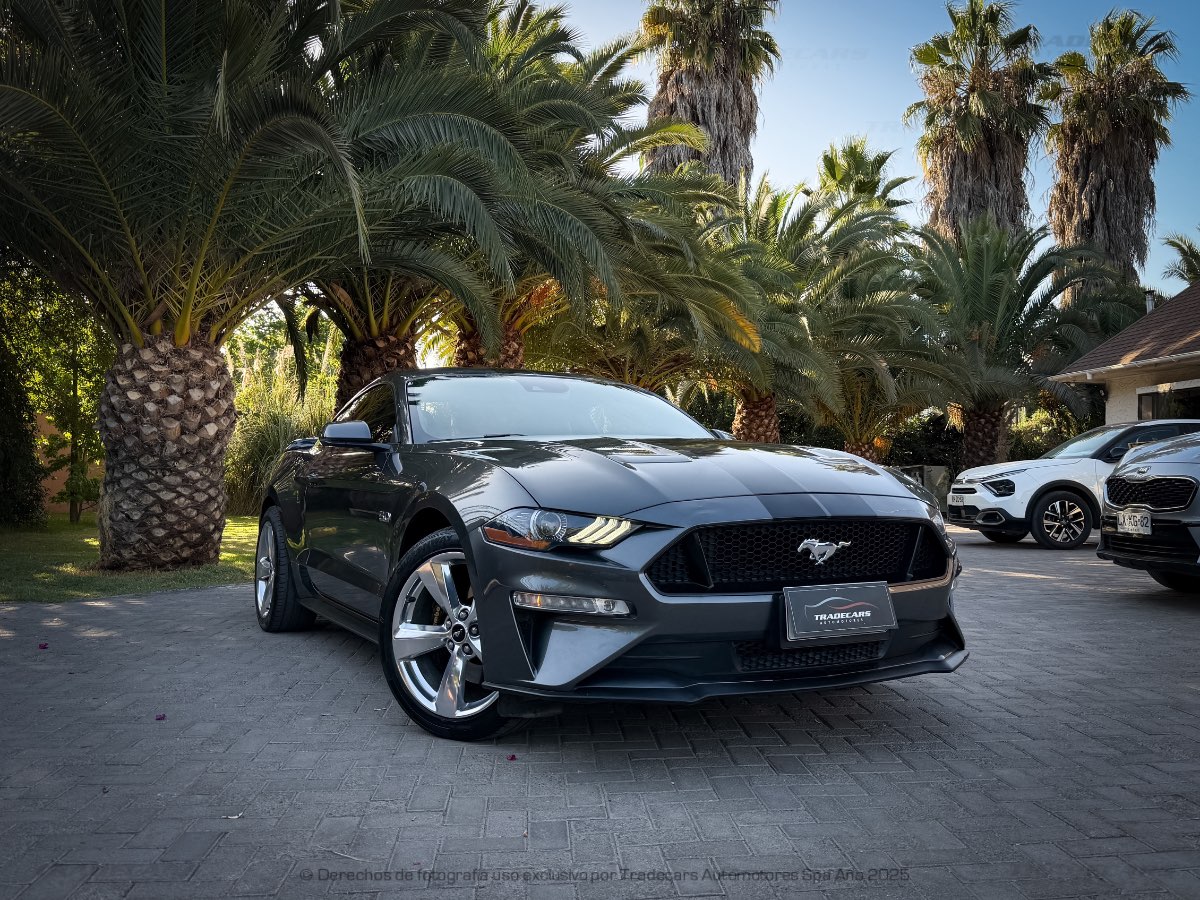 Ford MUSTANG 2019 (1/18)