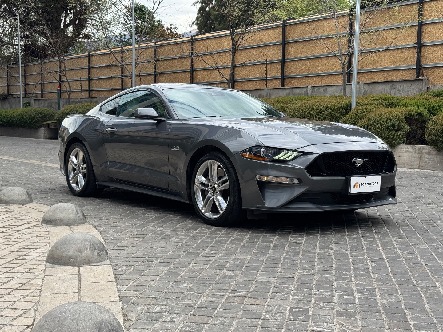Ford Mustang — foto 3 de 19