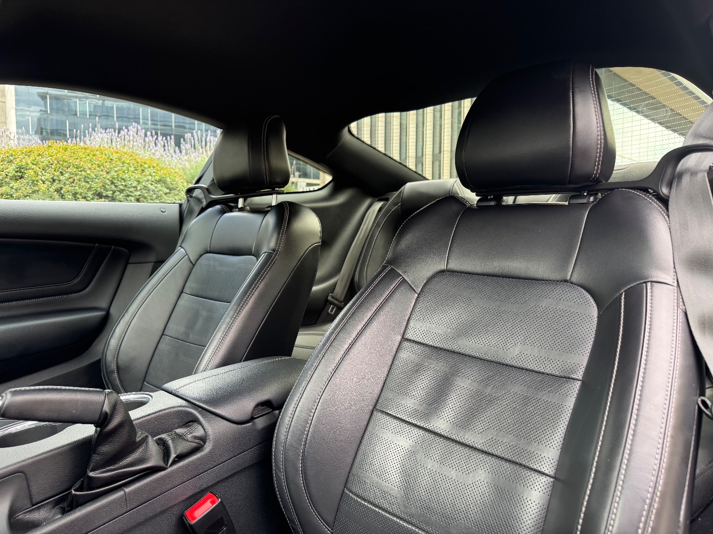 Ford Mustang — foto 17 de 19