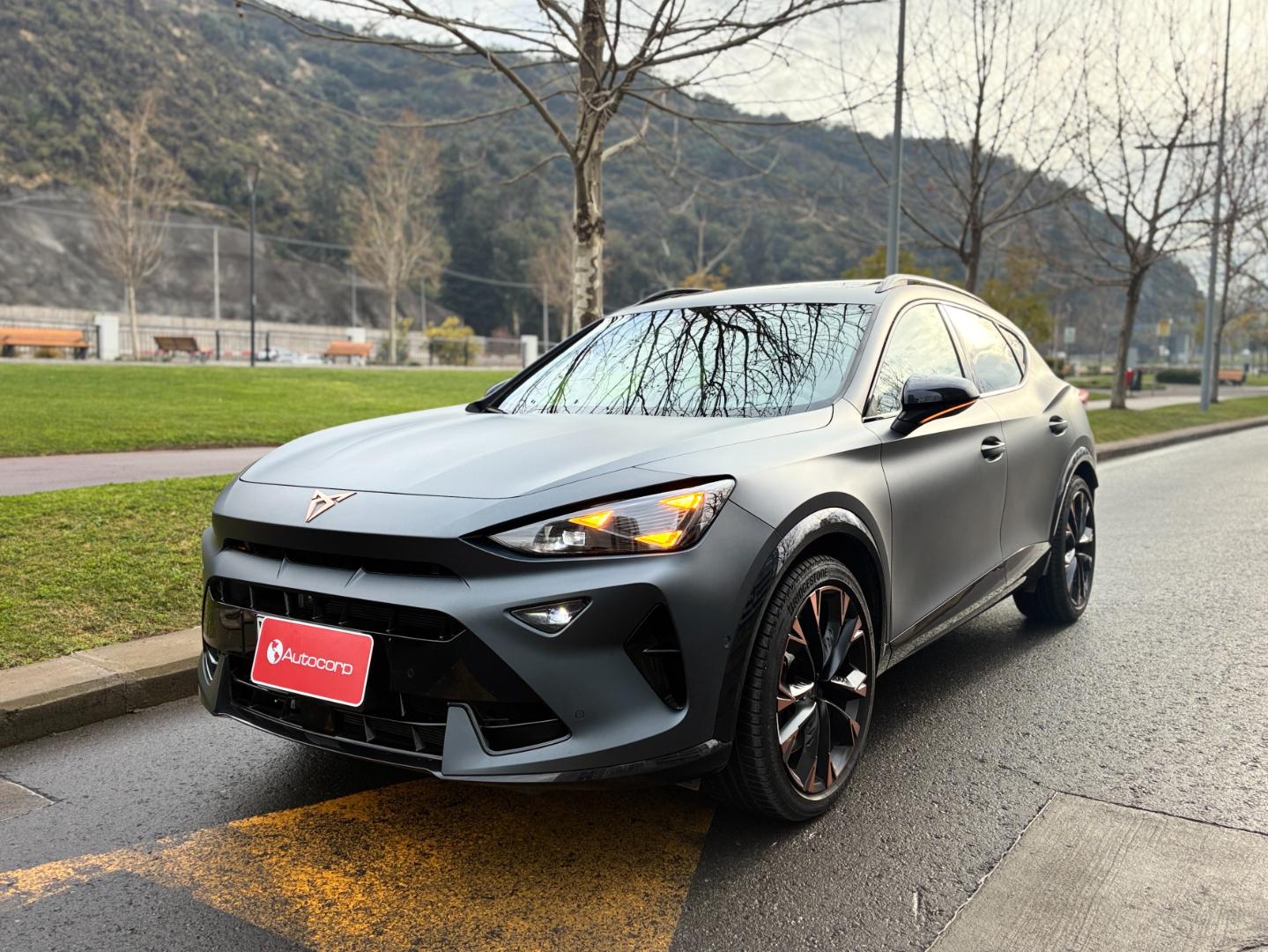 Cupra FORMENTOR VZ 4DRIVE 4X4 2.0L 🇪🇸 2025 (1/25)
