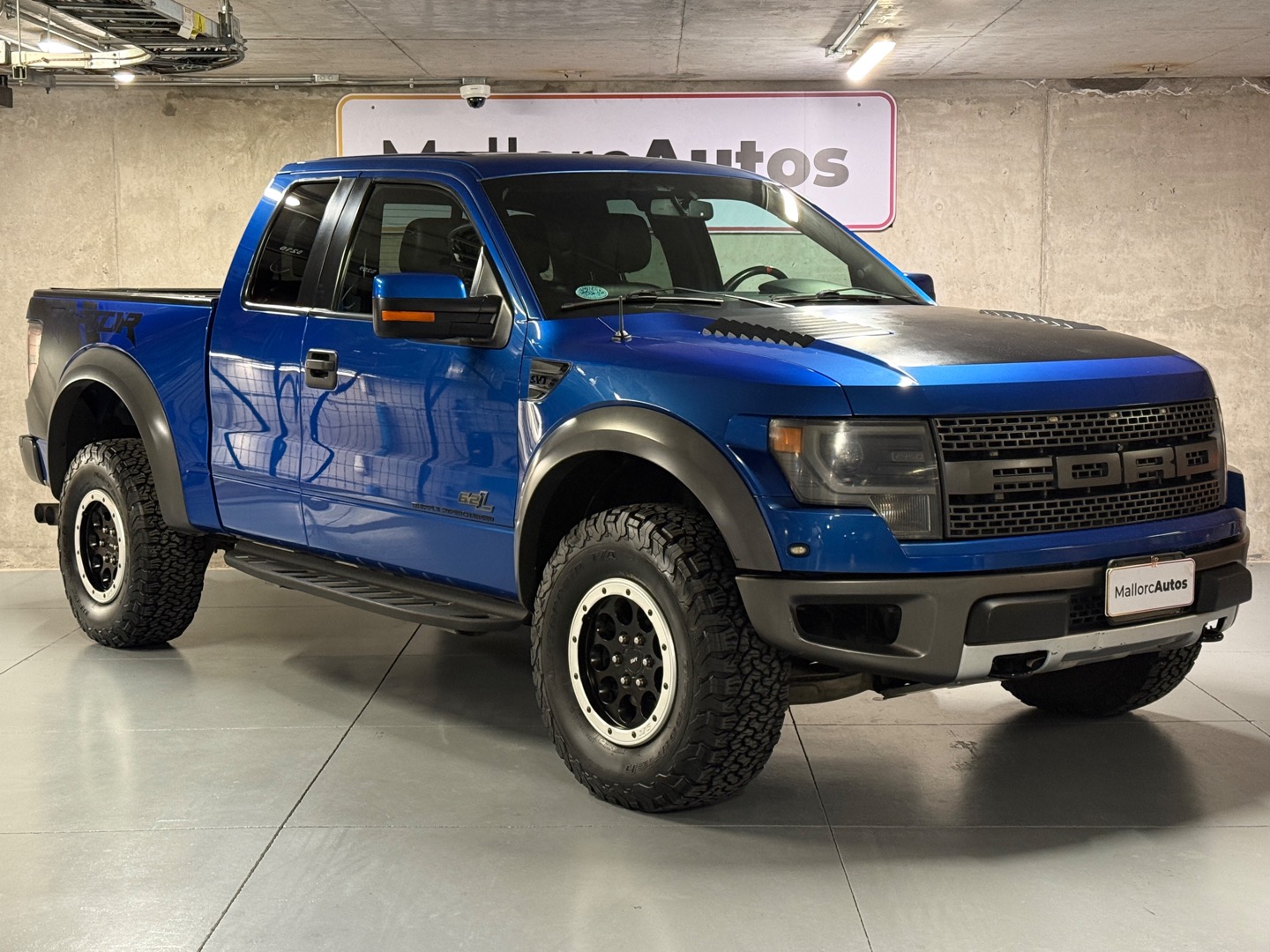 Ford F-150 RAPTOR 2015 (1/20)